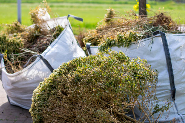 Best Trash Removal Near Me  in Shafer, MN